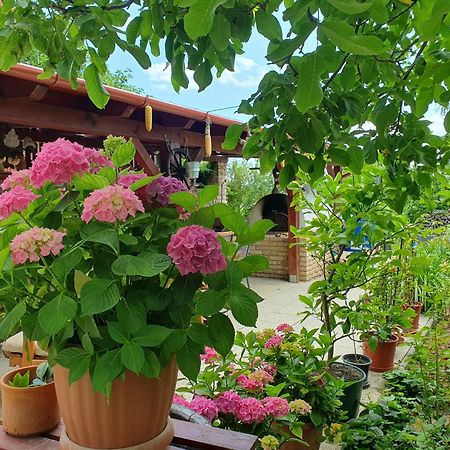 Feher Rozsa Apartman Cserszegtomaj Εξωτερικό φωτογραφία