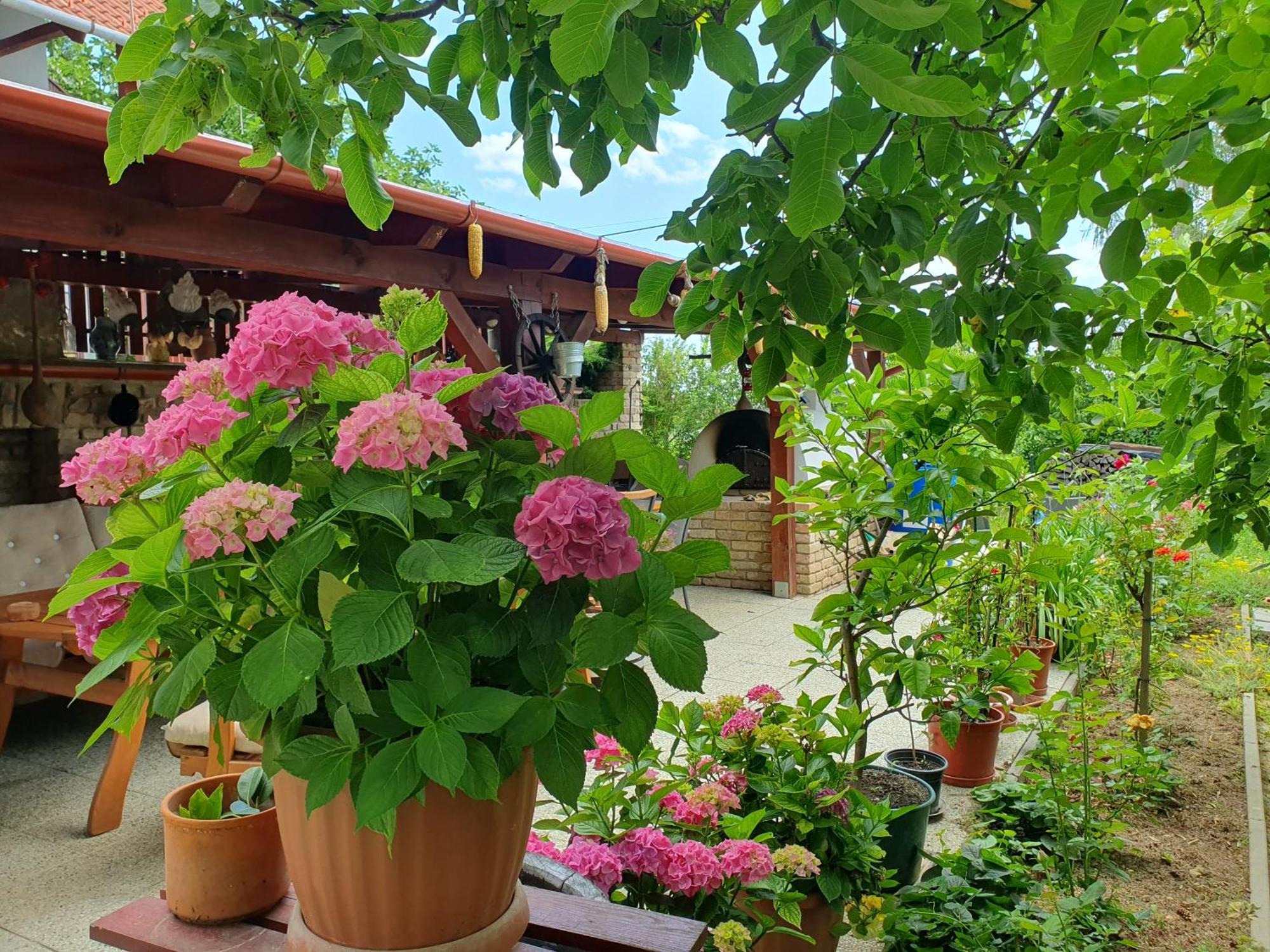 Feher Rozsa Apartman Cserszegtomaj Εξωτερικό φωτογραφία
