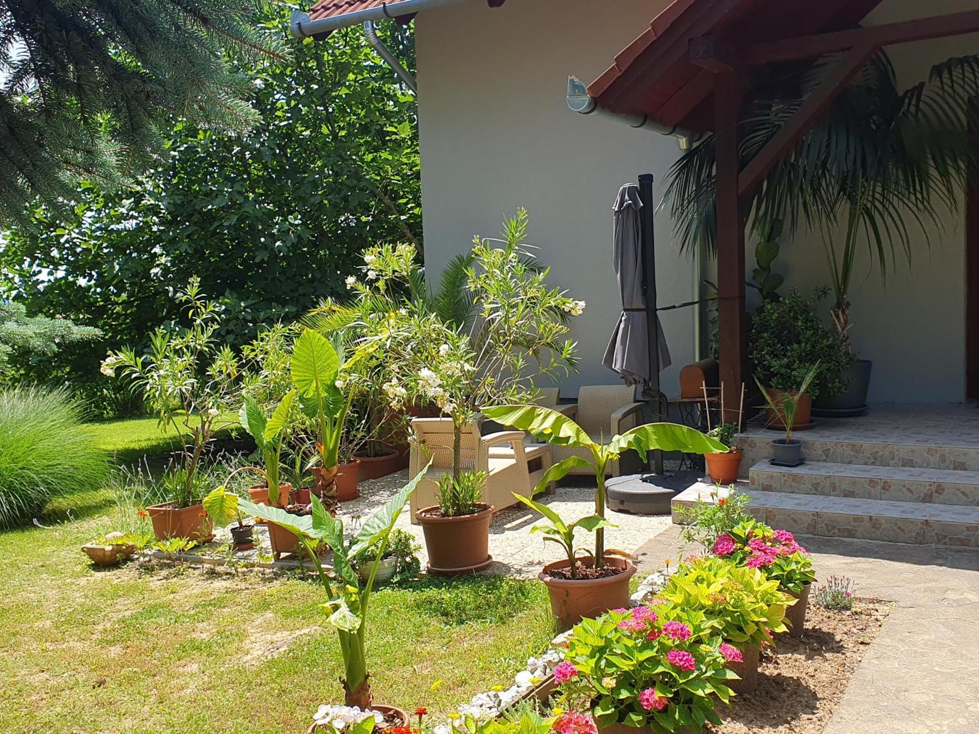 Feher Rozsa Apartman Cserszegtomaj Εξωτερικό φωτογραφία