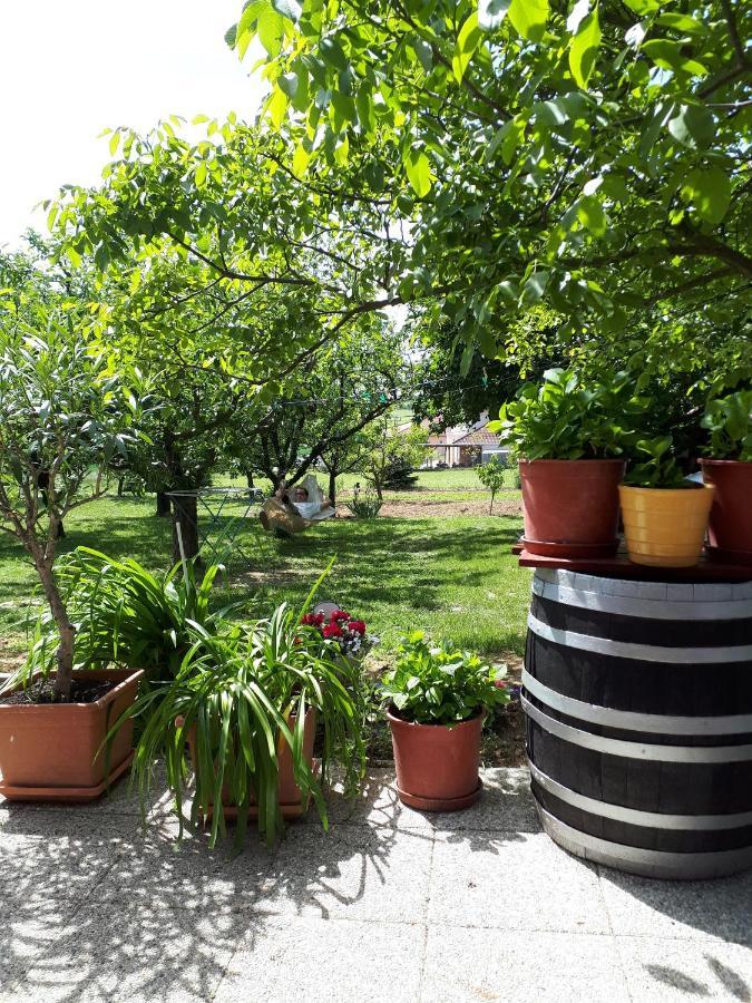 Feher Rozsa Apartman Cserszegtomaj Εξωτερικό φωτογραφία